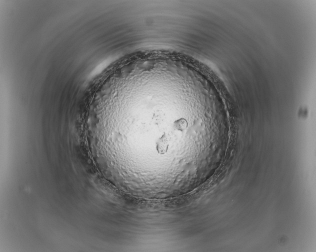 X0000091680871200709061102