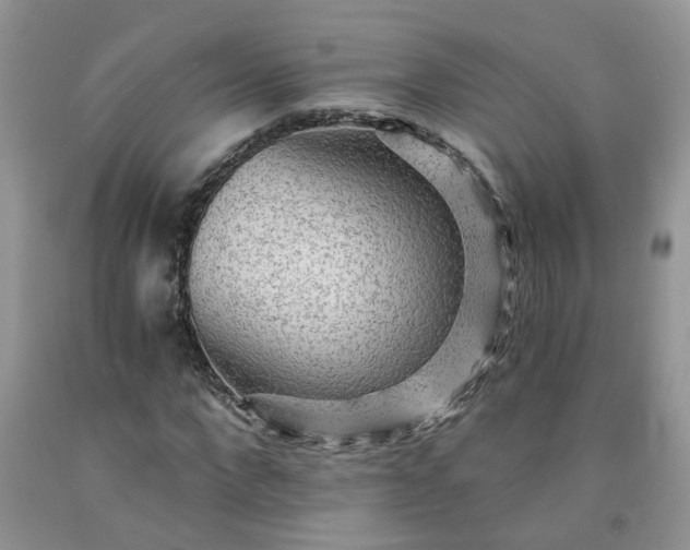 X0000091680872200709061102