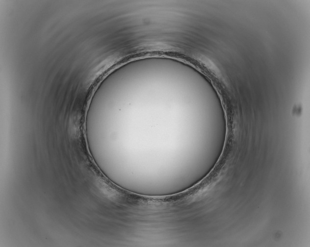 X0000091680873200709061102