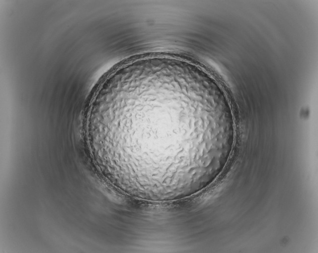 X0000091680875200709061102