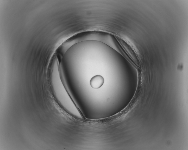 X0000091680876200709061102
