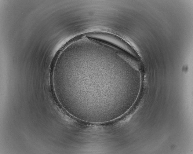 X0000091680877200709061102