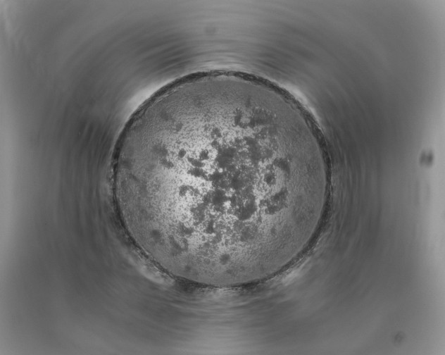 X0000091680879200709061101
