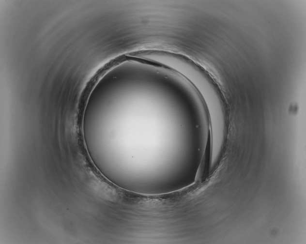 X0000091680880200709061101