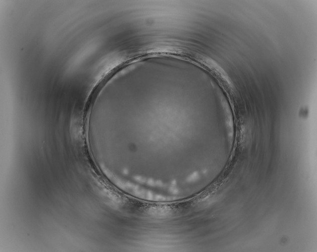 X0000091680882200709061101