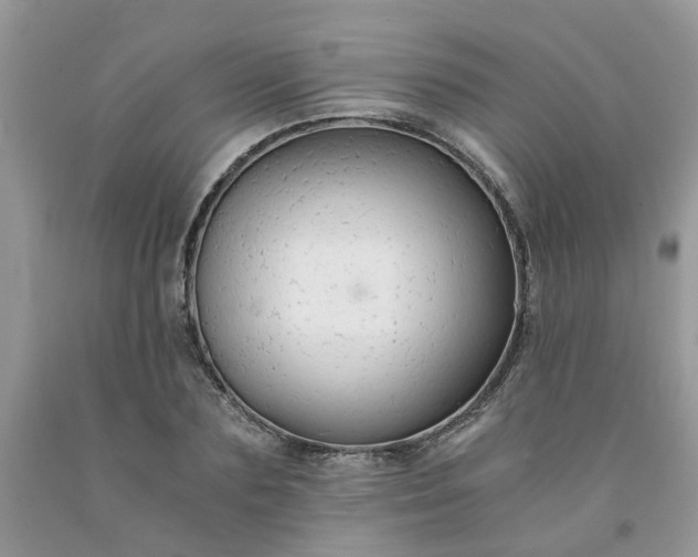 X0000091680883200709061101