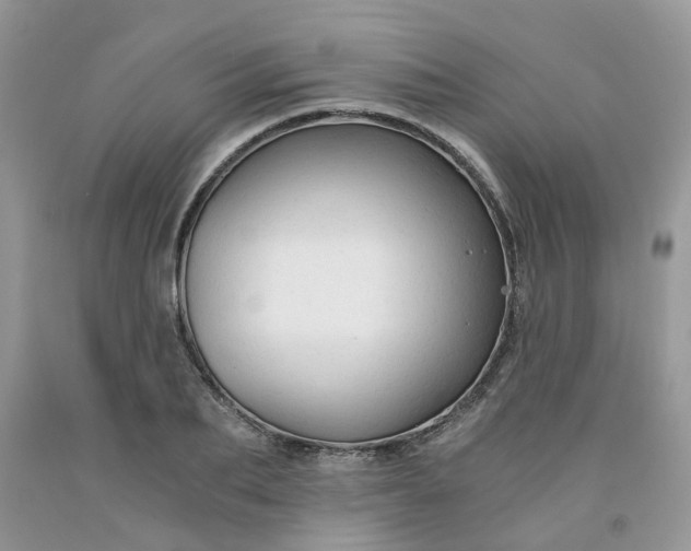 X0000091680887200709061101