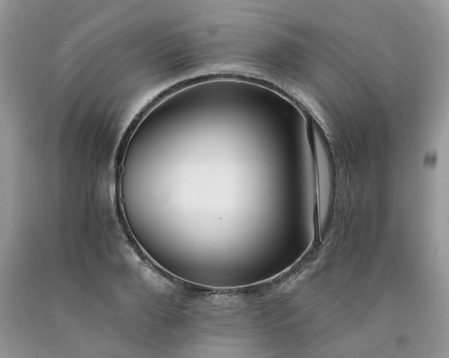 X0000091680888200709061101
