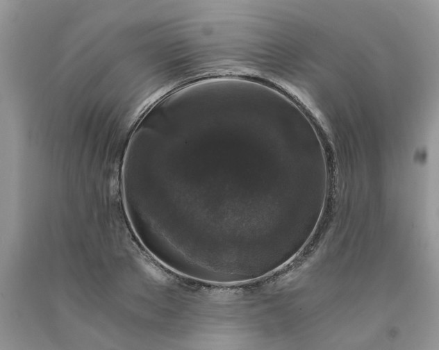 X0000091680889200709061101
