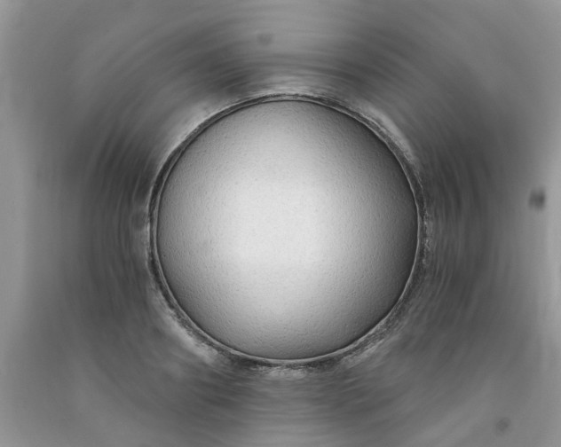 X0000091680890200709061101