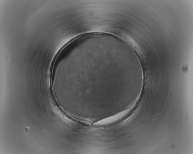 X0000091680892200709061101