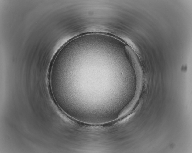 X0000091680893200709061101