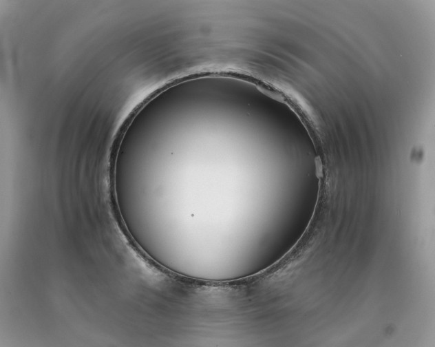 X0000091680894200709061101