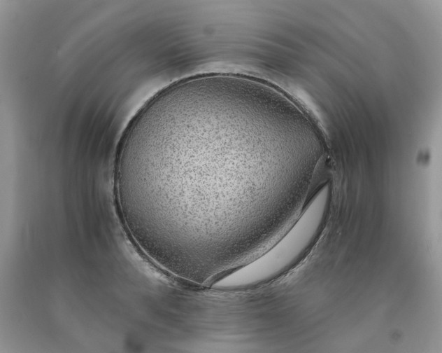 X0000091680896200709061101