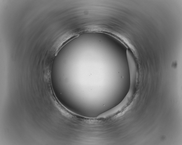 X0000091680897200709061101