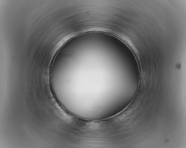 X0000091680898200709061101