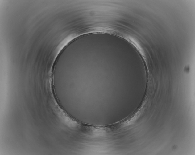X0000091680899200709061101