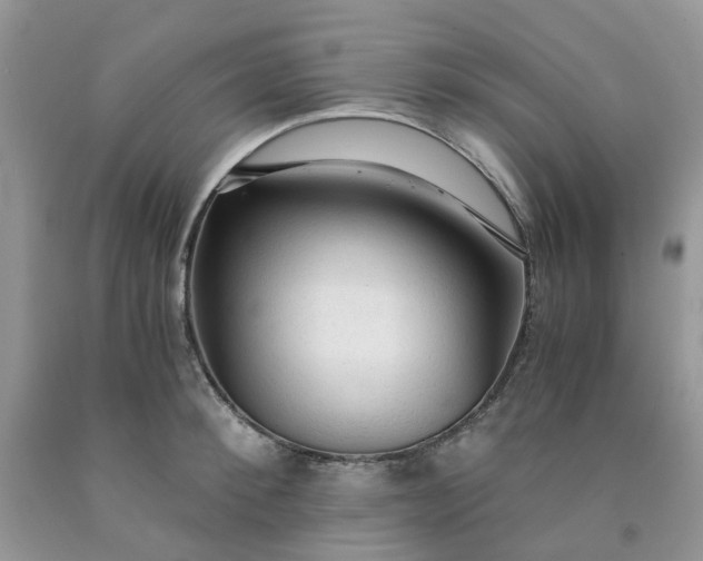 X0000091680900200709061101