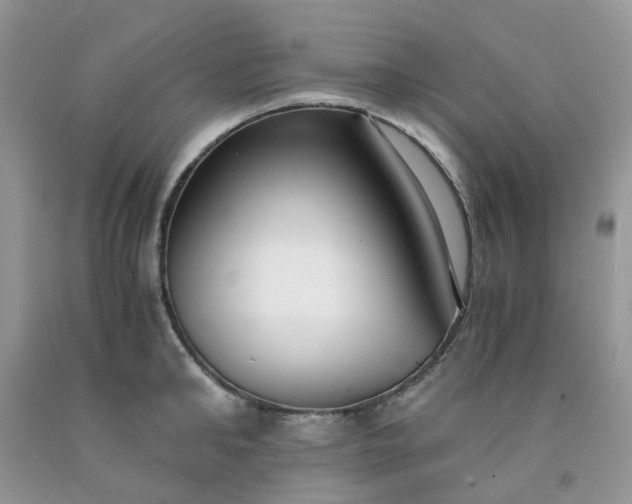 X0000091680902200709061101
