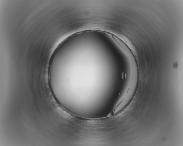 X0000091680904200709061101