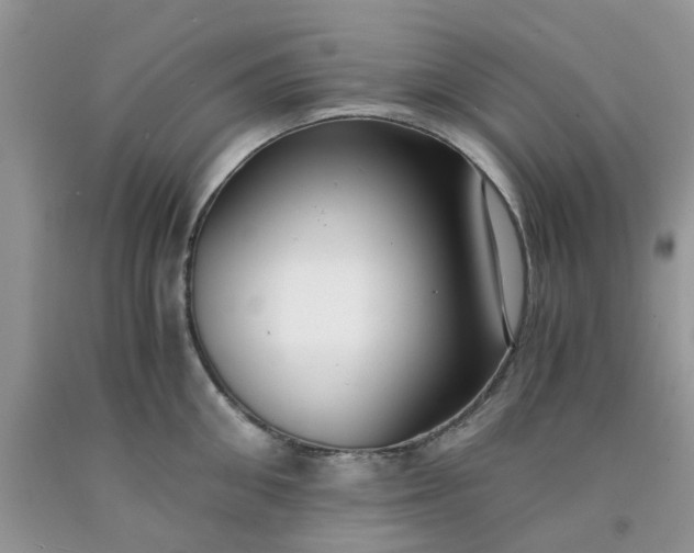 X0000091680906200709061101