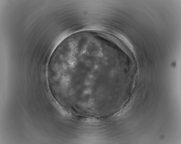 X0000091680907200709061101