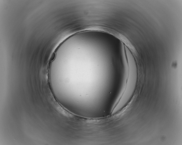 X0000091680908200709061101