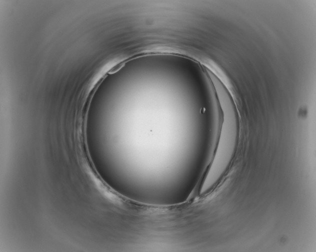 X0000091680909200709061101