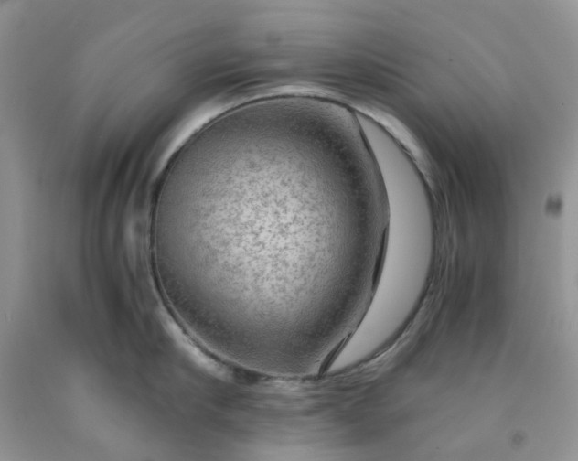 X0000091680910200709061101