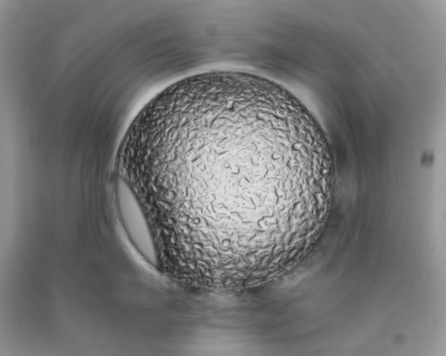 X0000091680911200709061101
