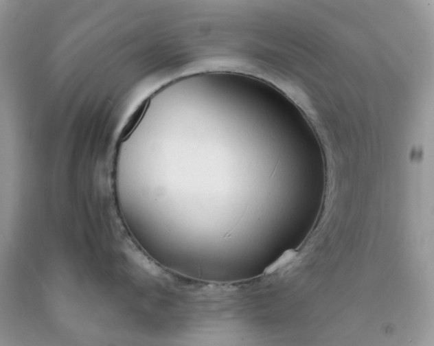 X0000091680912200709061101