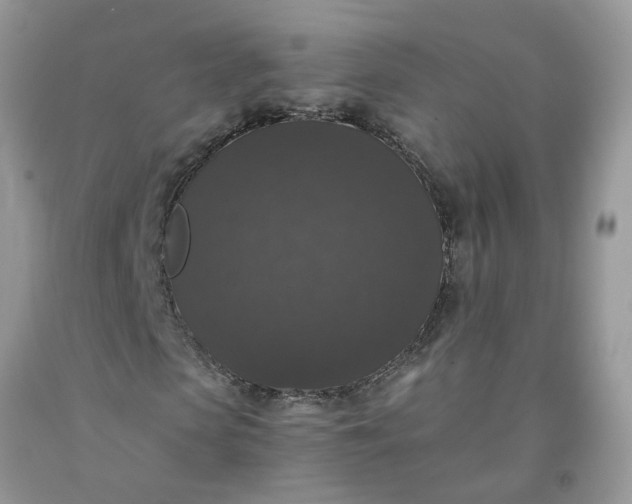 X0000091680913200709061100