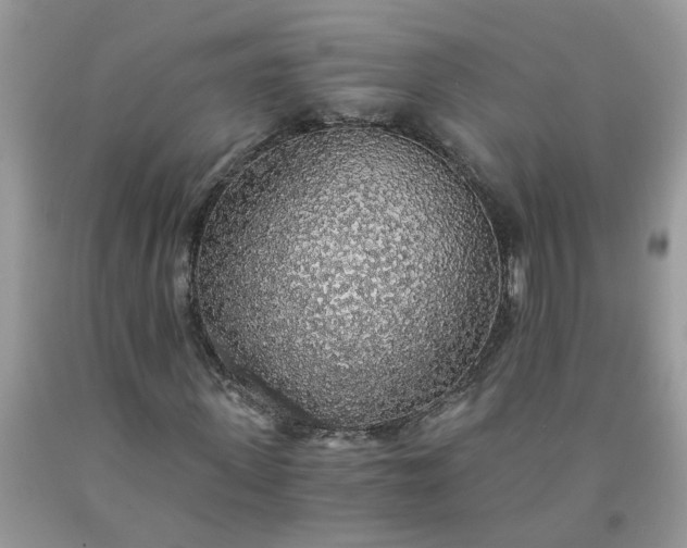 X0000091680915200709061100