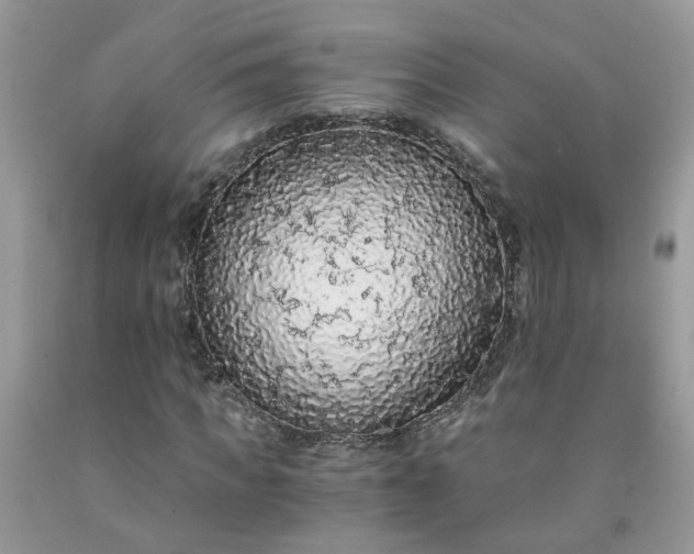 X0000091680917200709061100
