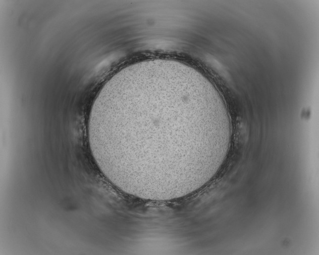 X0000091680918200709061100