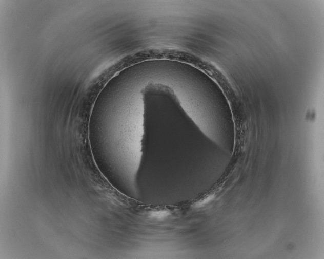 X0000091680919200709061100