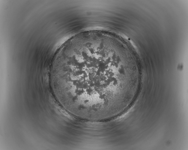 X0000091680921200709061100