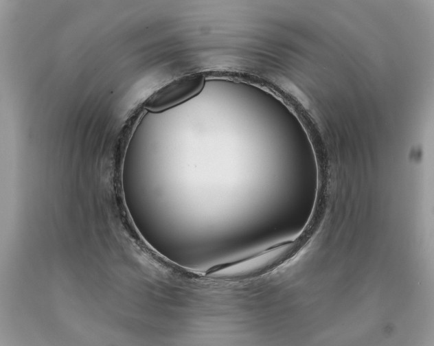 X0000091680922200709061100