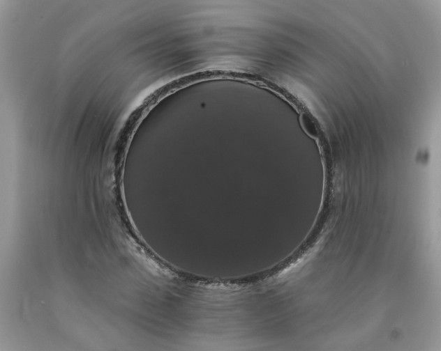 X0000091680923200709061100