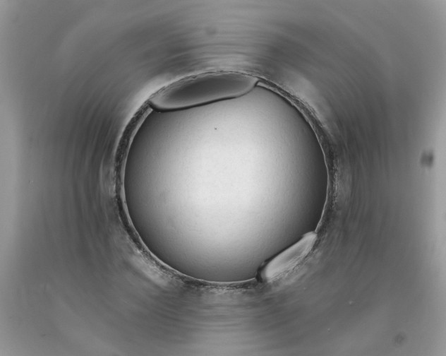 X0000091680924200709061100