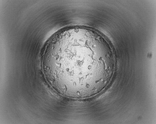 X0000091680925200709061100