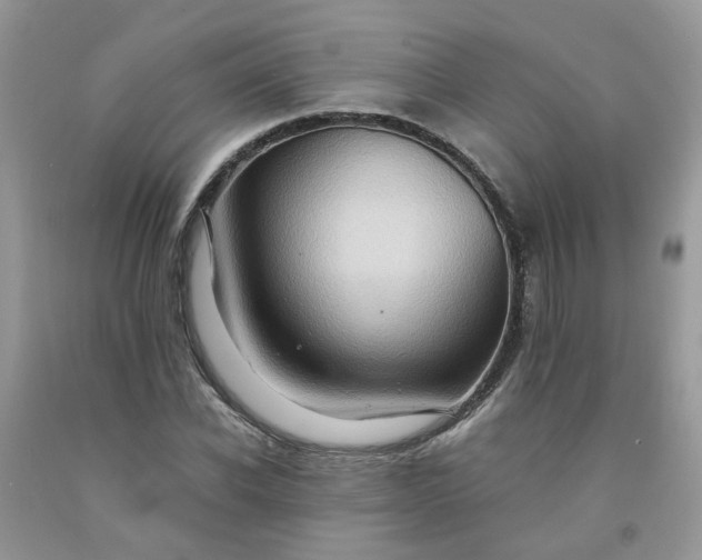 X0000091680926200709061100