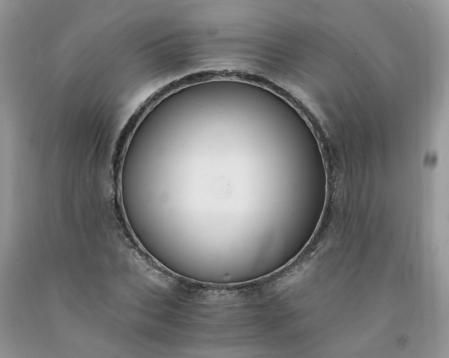 X0000091680927200709061100