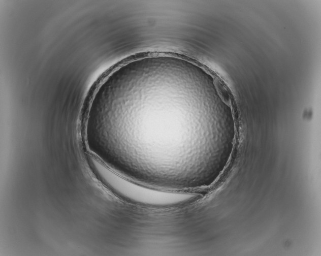 X0000091680928200709061101