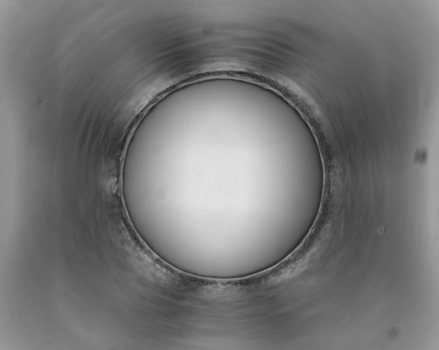 X0000091680929200709061101