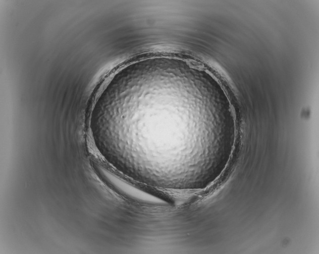 X0000091680930200709061101