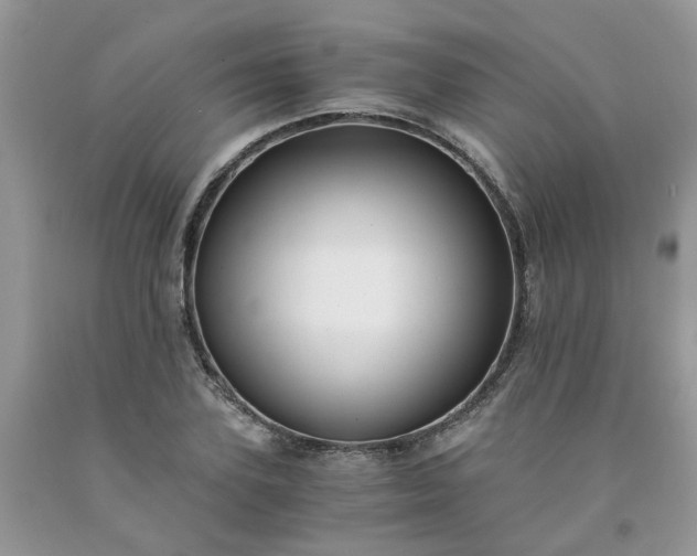 X0000091680931200709061101