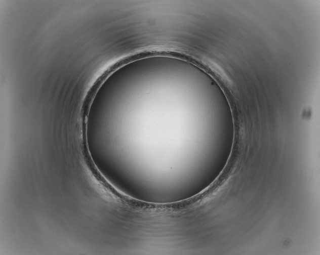 X0000091680934200709061101