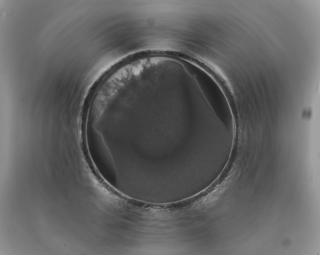 X0000091680935200709061101
