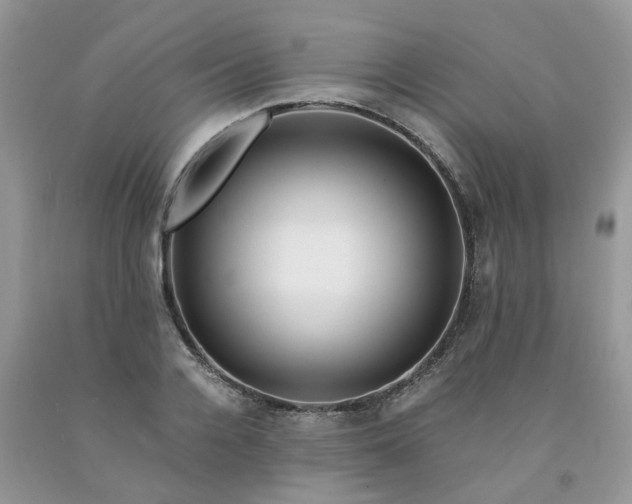 X0000091680936200709061101